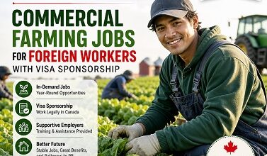 Commercial Farming Jobs for Foreign Workers with Visa Sponsorship in Canada